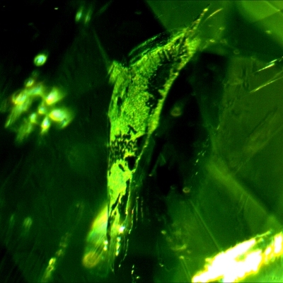 1104102341 emerald 083 dendritic 400 fov 1.6mm