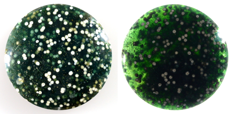 Chalcedony white orbs 3427 green and white Indonesia