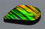 Irridescent 10.66ct green to reddish-orange ammolite
